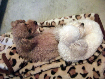 DSCF7741.JPG