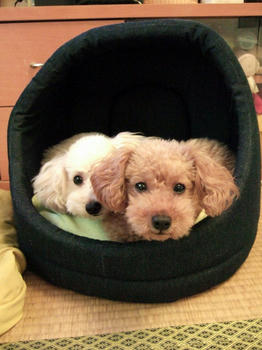 DSCF7743.JPG