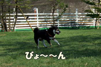 DSCF7414.JPG