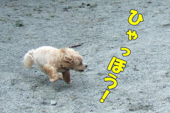DSCF7647-1.JPG