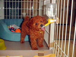 img011.jpeg