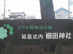 1250424d.jpeg
