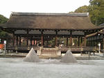 SANY0835.jpg