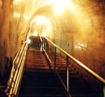 daihon3.jpg