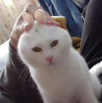 20070515_39955.jpg