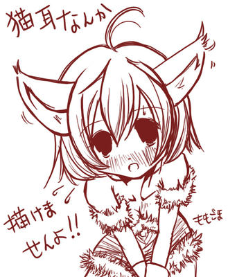 nekomimi.jpg