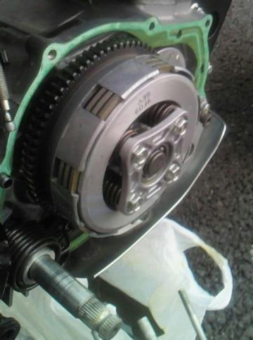 NEC_0455.jpg