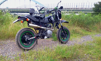 2a558b28.jpg
