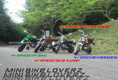 541e0d75.jpg