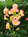 d3a8e958.jpg