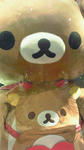 8c576b42.jpg