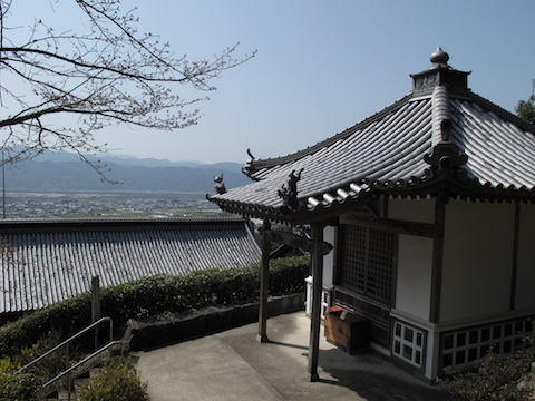 d5647243.jpg