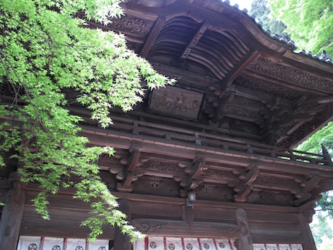 7935cd9d.jpg