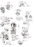 p-69.gif