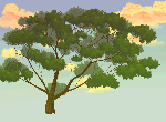 blog-1205.gif