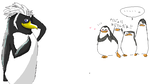 capture4.png