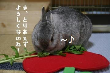 20091125_03.jpg