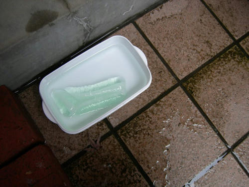 水に浸したひえぴた