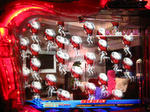 IMG_7073.JPG