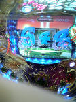 DVC00001.jpg