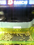 DVC00009.jpg