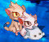 0918-pet.jpg