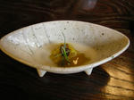 DSCN0232.JPG
