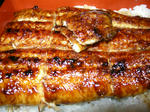 DSCN0235.JPG