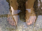 20080211131854.jpg