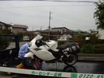 P8100116A.JPG