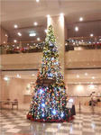 tree.jpg