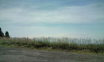20100912111210.jpg