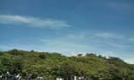 20100912111302.jpg