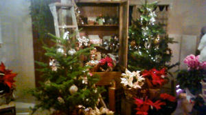 201112031849000.jpg