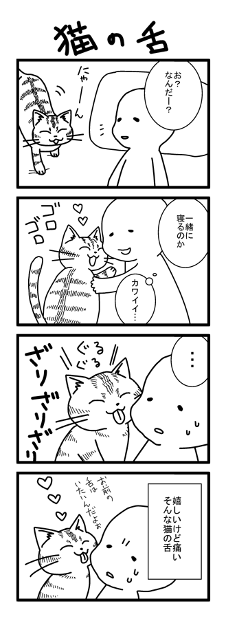 b0e31972.png