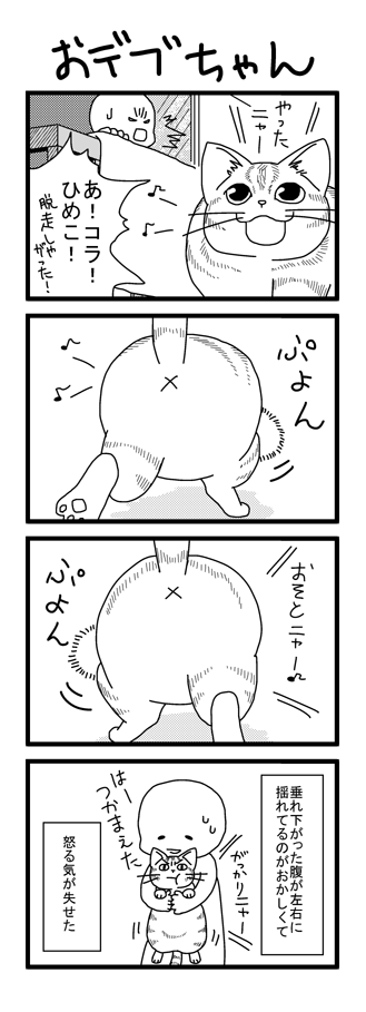 02014078.png