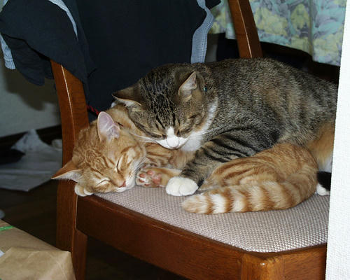 PIC00008s.jpg