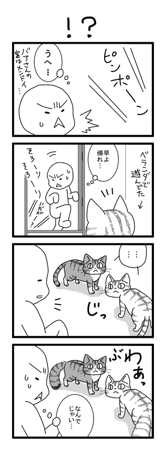 5fa12943.png
