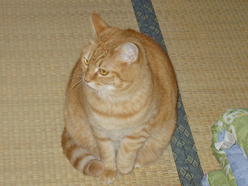 PB130009s.jpg