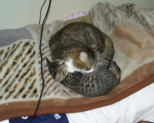 PIC00007s.jpg