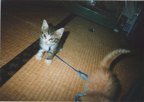 ff4aa489.jpg