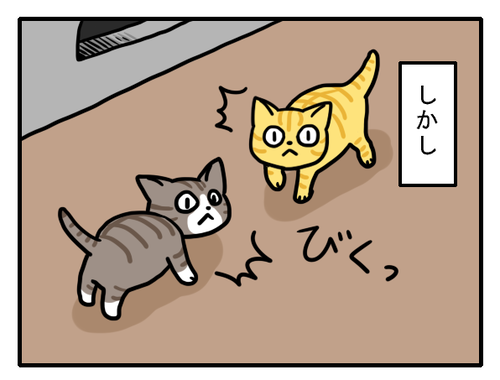77b6d573.png