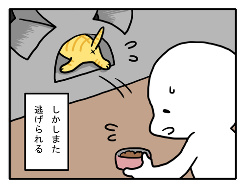 97ca02bf.png