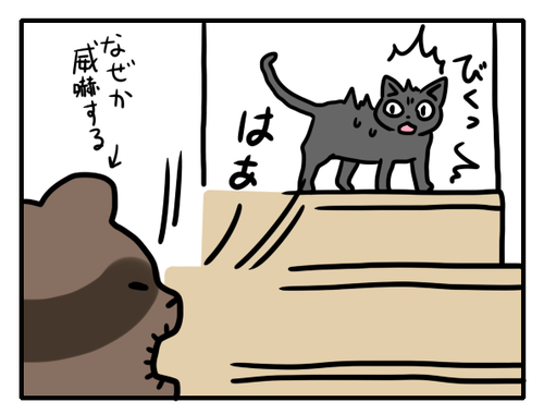65fd0408.png