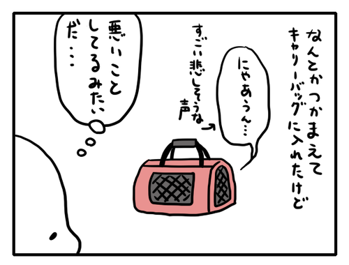 31c9eddd.png