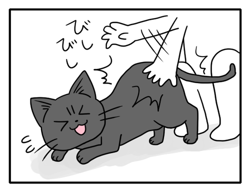 d44a864f.png