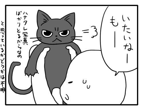 43a86b0b.png