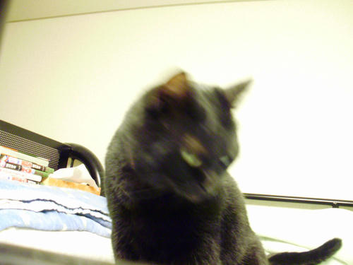 805f4bcc.JPG