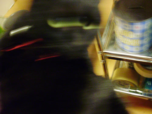 P6090002.JPG