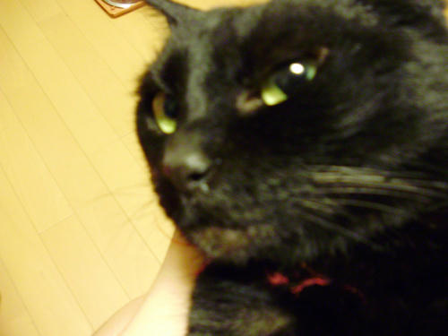 P6090004.JPG